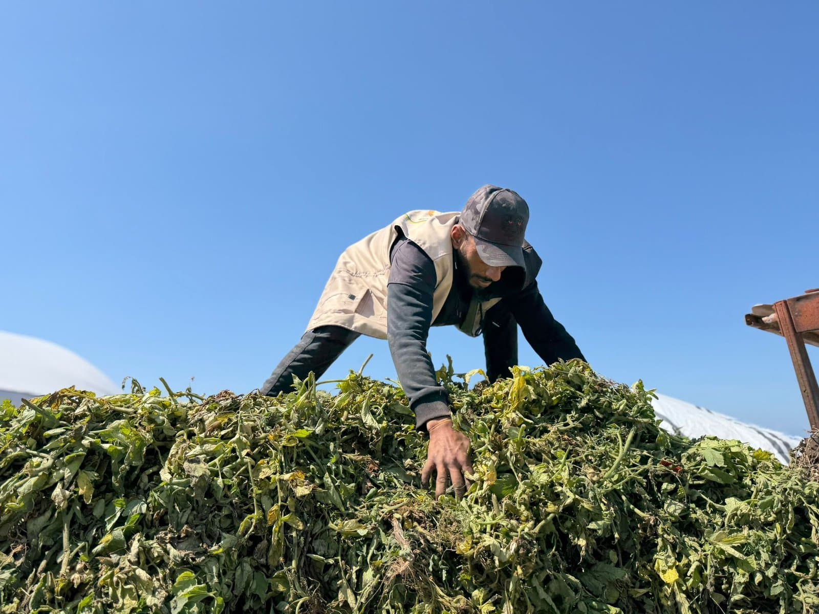 مشروع ذهب غزة الأسود (إنتاج الكمبوست)